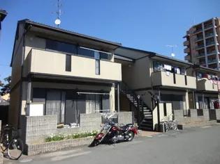 ハイム櫟の画像