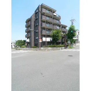 フォレストヒルズの画像