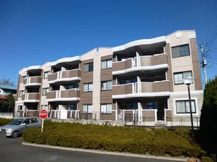 ジェルメの画像