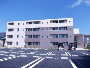 フォレスト カワセミの画像