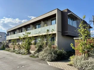 フロイデスプリングの画像