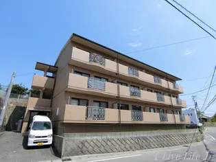 セントーレアIIの画像