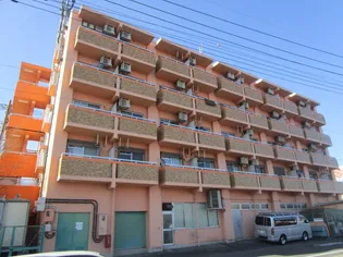 神奈川県厚木市中依知【マンション】の外観