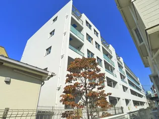 スアヴィス舎人の画像