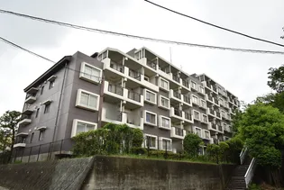 URアーバンハイツ菅生ヶ丘の画像