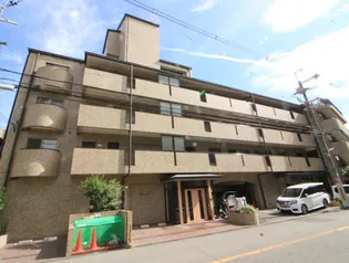 チェリーコートの画像