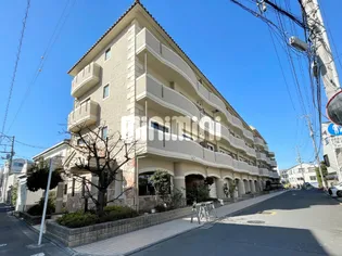 ジェイ ジルーBの画像