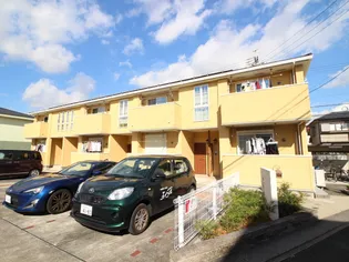 パティオ緑の画像