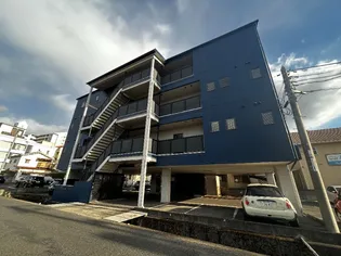 アトラス老松の画像