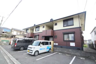 ハイカムール下温品の画像
