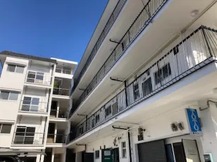 WHITE VILLAIIの画像