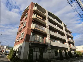 ルネ シェスタの画像