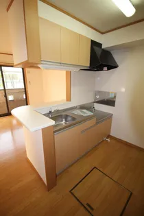 ドゥ・アネッサA【1階】のキッチン