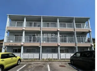 シャイニングコートIIの画像