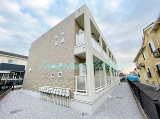 タンブル フィーユの画像