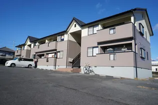 HBクオリスの画像