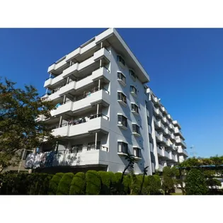 エコーズの画像