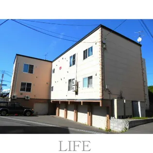 ネストコートの画像