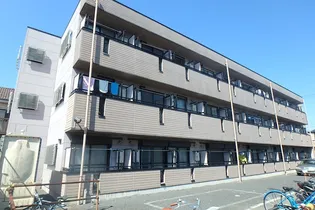 サンマルゴの画像