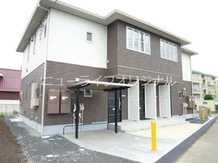 ビルネブリューテの画像