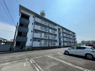 サルヴァトーレ惣領の画像