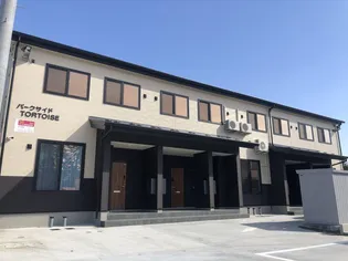 TORTOISE亀の甲の画像