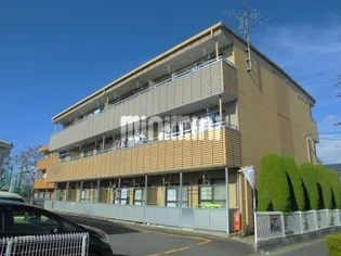 ビバリーヒルズの画像