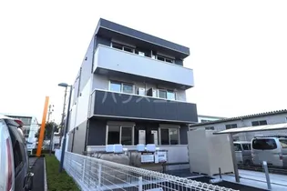 モンステラの画像