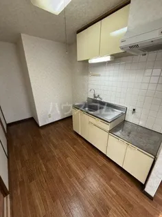 VILLA八潮【2階】のキッチン