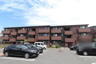 鹿児島県鹿児島市中山町【アパート】の外観