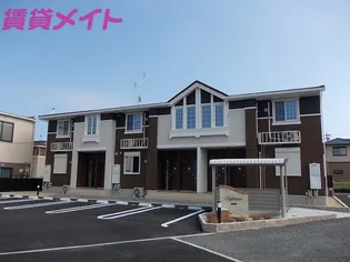 ルピナスの画像