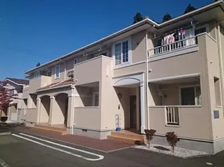 プリムローズの画像