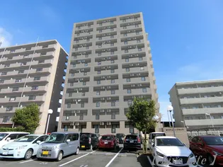 センチュリーフラッツ【6階】の外観