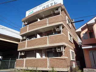 シャルムパルファンの画像