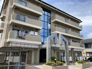 グラッドピネの画像