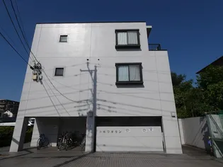 トキワタウンの画像