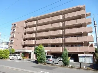 ドミールシャルマン【2階】の外観