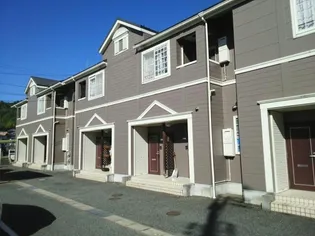 グレース ドゥの画像