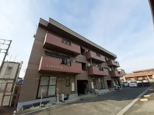 エントピアIの画像