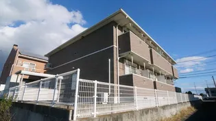 サン フローラの画像