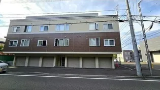 アーミン菊水の画像