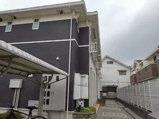 プリムローズの画像