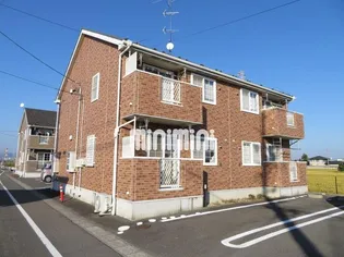 グレイスBの画像