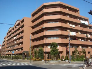 クリサンテーム妙典の画像