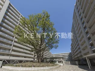 シティコート目黒3号棟【2階】の外観