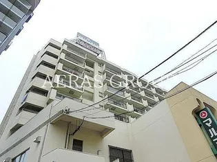 スカイフラット10【8階】の外観