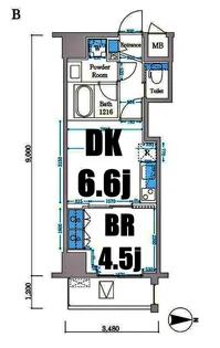 Cartoleria【2階】の間取り