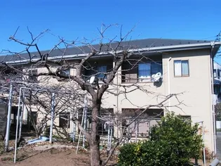 シャトーナカムラの画像