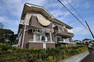 サニーブリーゼの画像