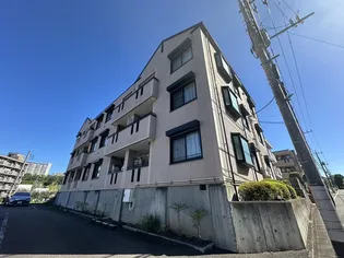 シルクトゥリーの画像